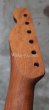 画像5: Warmoth Telecaster® Mahogany Neck  21 Frets Ebony / Right Handed  (5)