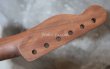 画像4: Warmoth Telecaster® Mahogany Neck  22 Frets  Indian Rosewood (Dark) / Right Handed  (4)