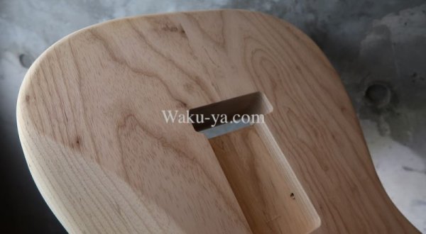 画像8: MusiKraft / Build a Franky Body   (4) (8)