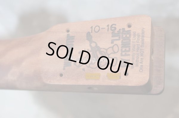 画像11: Warmoth Telecaster® Mahogany Neck  22 Frets  Indian Rosewood (Dark) / Right Handed  (11)