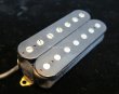 画像1: Häussel Tozz B Fat-XL Pickup for 7 String (1)