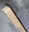 画像11: Warmoth Stratocaster Maple Neck  22 Frets  Indian Rosewood / Right Handed / Reverse Head (11)