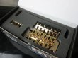 画像2: Floyd Rose Special Series Tremolo Bridge w/ R2SG Nut Gold (2)