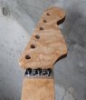 画像5: MusiKraft /  Franky Neck Custom Build / Birdseye Maple 　(2) (5)