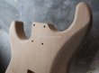 画像3: MusiKraft / Build a Kramer Pacer / Alder (3)