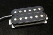 画像1: Seymour Duncan SH-AH1b / Allan Holdsworth Model  (1)