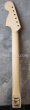画像2: Warmoth Maple NECK 22F /  Indian Rosewood / Moderen CBS Stratocaster (2)