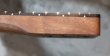 画像12: Warmoth Telecaster® Mahogany Neck  21 Frets Ebony / Right Handed  (12)