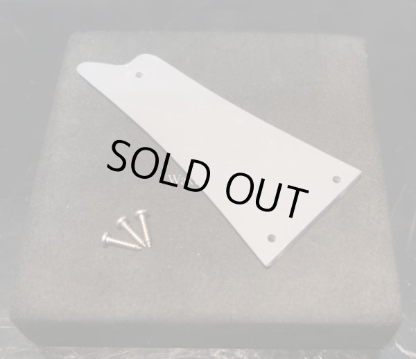 画像2: Ibanez PS-120  /  Mirror Trusscover (2)