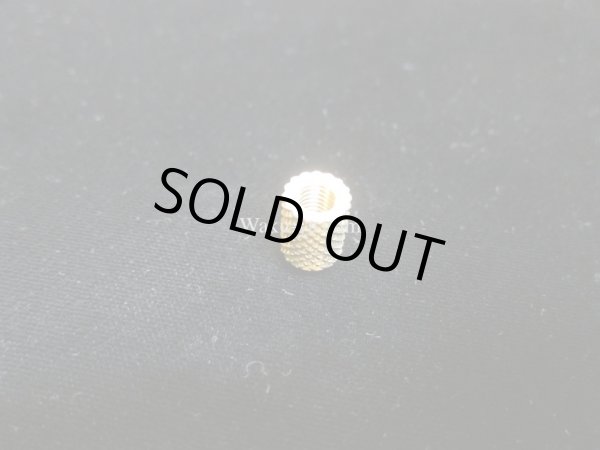 画像3: Steinberger "Original" Pivot  Plate用 Stud bolt Anchor (3)