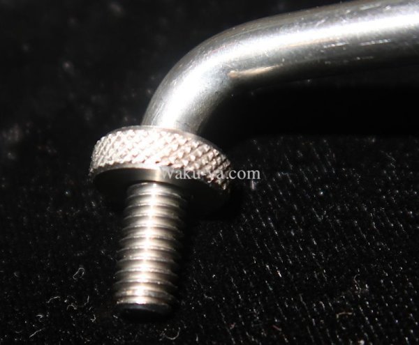 画像3: Steinberger / Trans Trem Arm Bar用 TIP (3)