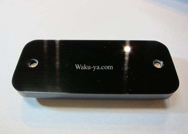 画像1: Steinberger Battery Cover for GL (1)