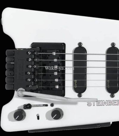 画像2: Steinberger  David Gilmour   for GL Tremolo Arm Bar