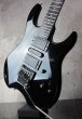 画像4: Steinberger GS-7TA '91/ Black / Gearless Tuner / T-Trem (4)