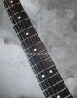 画像6: Steinberger GL-3T /  GR  (6)