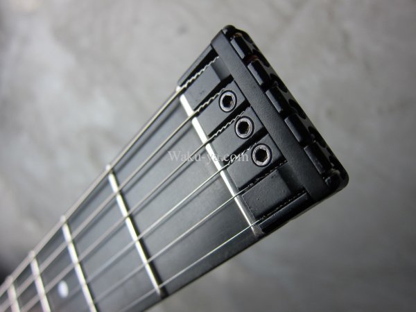 画像4: Steinberger GM-1S  (4)