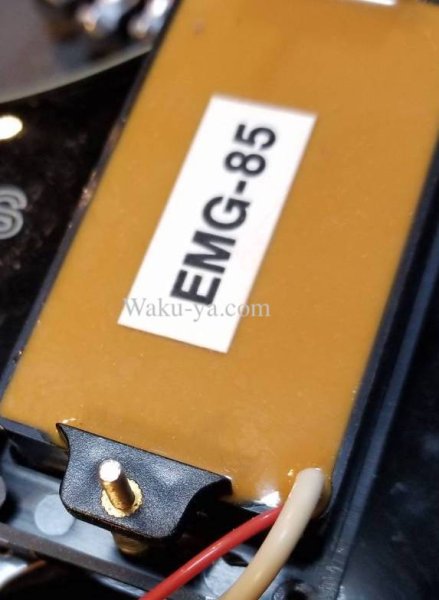 画像5: Steinberger GM-1S  (5)