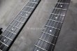 画像7: Steinberger Double Neck GM-2T / XM-2T/  Black (7)