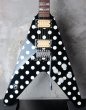 画像1: Sandoval Engineering / Randy Rhoads / Polka Dot V  (1)