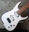 画像10: Skervesen Velociraptor 7-String / Trans White Top / Trans Blue Back (10)