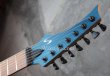 画像2: Skervesen Velociraptor 7-String / Trans White Top / Trans Blue Back (2)