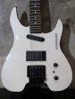 画像2: Steinberger GM-5T / White (2)