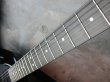 画像5: Steinberger GK-7T Klein  (5)