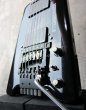 画像4: Steinberger GL-2T 1st '85 / GR (4)