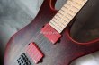 画像9:  Skervesen Custom Shop Mirage 6 / Trans Red (9)