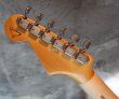 画像7: Fender Custom Shop '54 Stratocaster Release Master Built by C. W. Fleming (7)