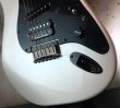 画像7: Charvel  "Jake E Lee" Signature Model /  Pro-Mod  (7)