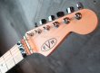 画像2: EVH Striped Series / Red with  Black Stripes (2)