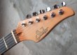 画像3: Suhr Modern Waterfall Burl Maple / Faded Trans Wine Red Burst (3)