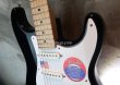 画像11: Fender USA Eric Clapton Stratocaster / ''BLACKIE'' (11)