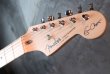 画像3: Fender USA Eric Clapton Stratocaster / Pewter (3)