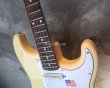 画像10: Fender USA Yngwie Malmsteen Signature Stratocaster / Rosewood 　　 (10)