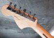 画像7: Fender USA Yngwie Malmsteen Signature Stratocaster / Rosewood 　　 (7)