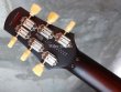 画像7: Tom Anderson Bulldog Locker Light Tiger Eye Burst with Binding   (7)