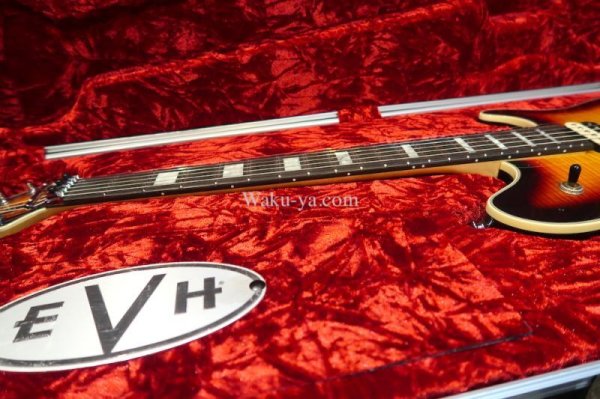 画像13: EVH Wolfgang Hard Tail Sunburst (13)