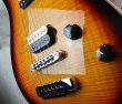 画像9: EVH Wolfgang Hard Tail Sunburst (9)