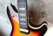 画像10: EVH Wolfgang Hard Tail Sunburst (10)