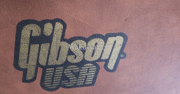 画像13: Gibson USA Flying V '84 Green Burst   (13)