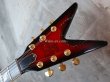 画像3: Dean USA Custom Shop Schenker Bros V Ltd Handsigned by Rudlf & Michael Schenker (3)