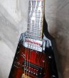 画像9: Dean USA Custom Shop Schenker Bros V Ltd Handsigned by Rudlf & Michael Schenker (9)
