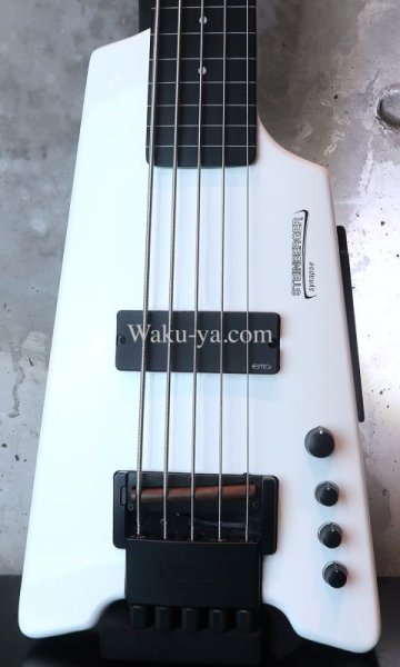 画像10: Steinberger Synapse XS-15 FPA / FL 5Strings / White (10)