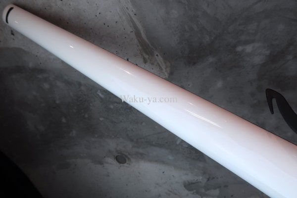 画像7: Steinberger Synapse XS-15 FPA / FL 5Strings / White (7)