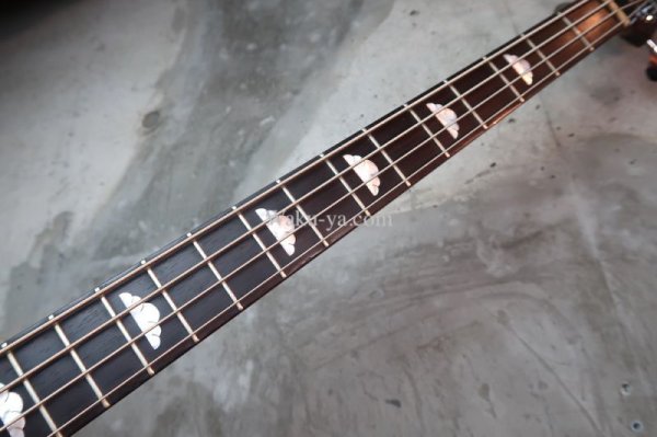 画像4:  B.C. Rich Mockingbird Bass Koa ’77 / Red Pin  (4)