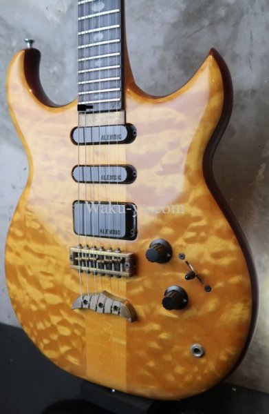 画像6: ALEMBIC Electrum S-S-H / Exotic Maple Quilt Top (6)