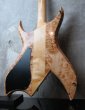 画像7: B.C.Rich USA Bich Supreme 1986 All Maple  (7)