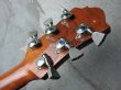 画像6: B.C.Rich USA Mockingbird '78 Vintage /"KOA"  (6)